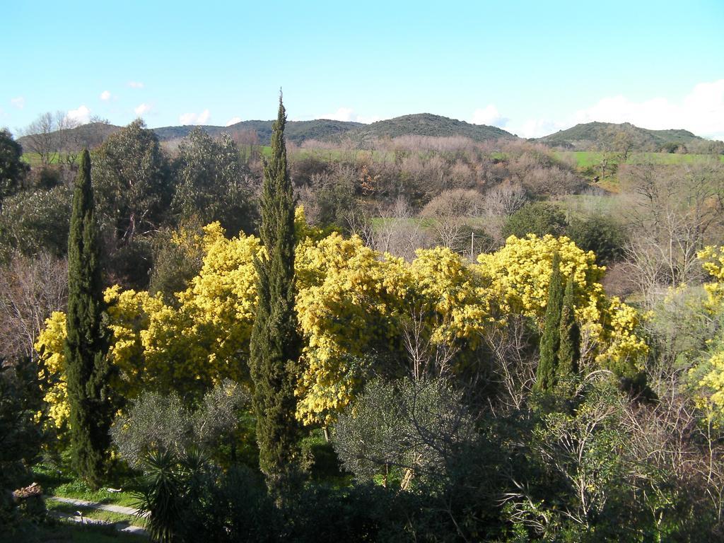 Bed and Breakfast Casale Del Tiglio Cerveteri Pokoj fotografie