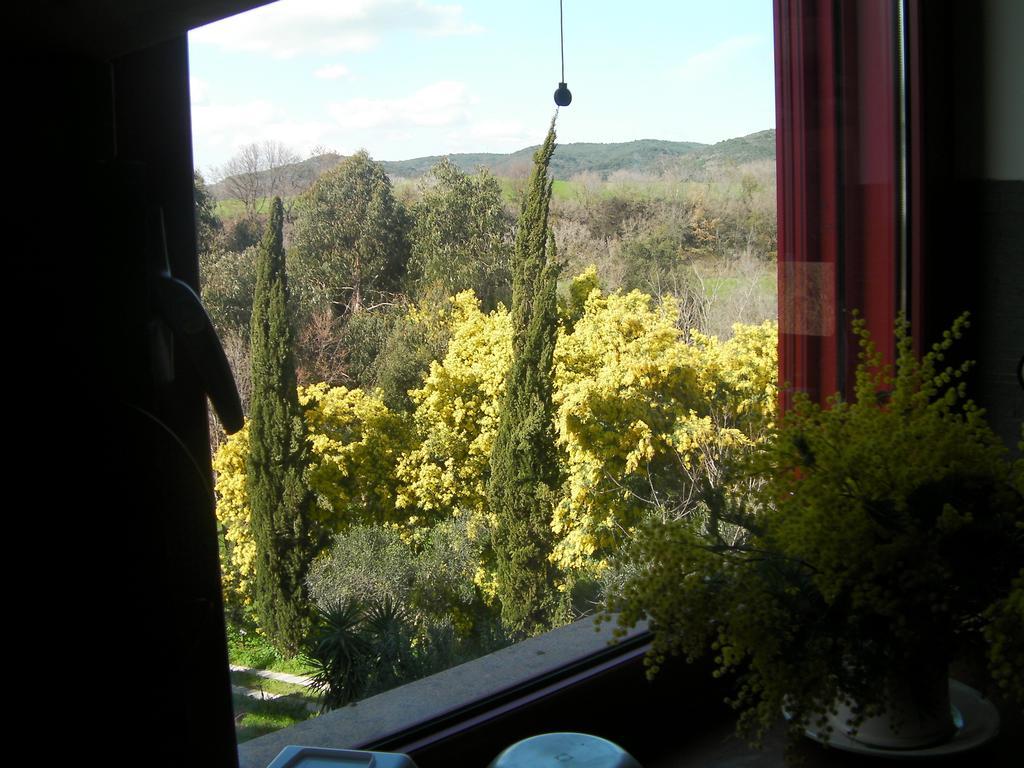 Bed and Breakfast Casale Del Tiglio Cerveteri Pokoj fotografie
