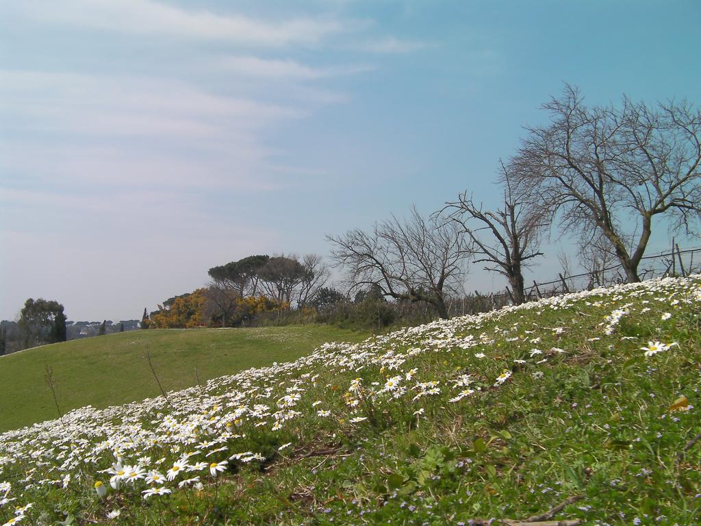 Bed and Breakfast Casale Del Tiglio Cerveteri Pokoj fotografie